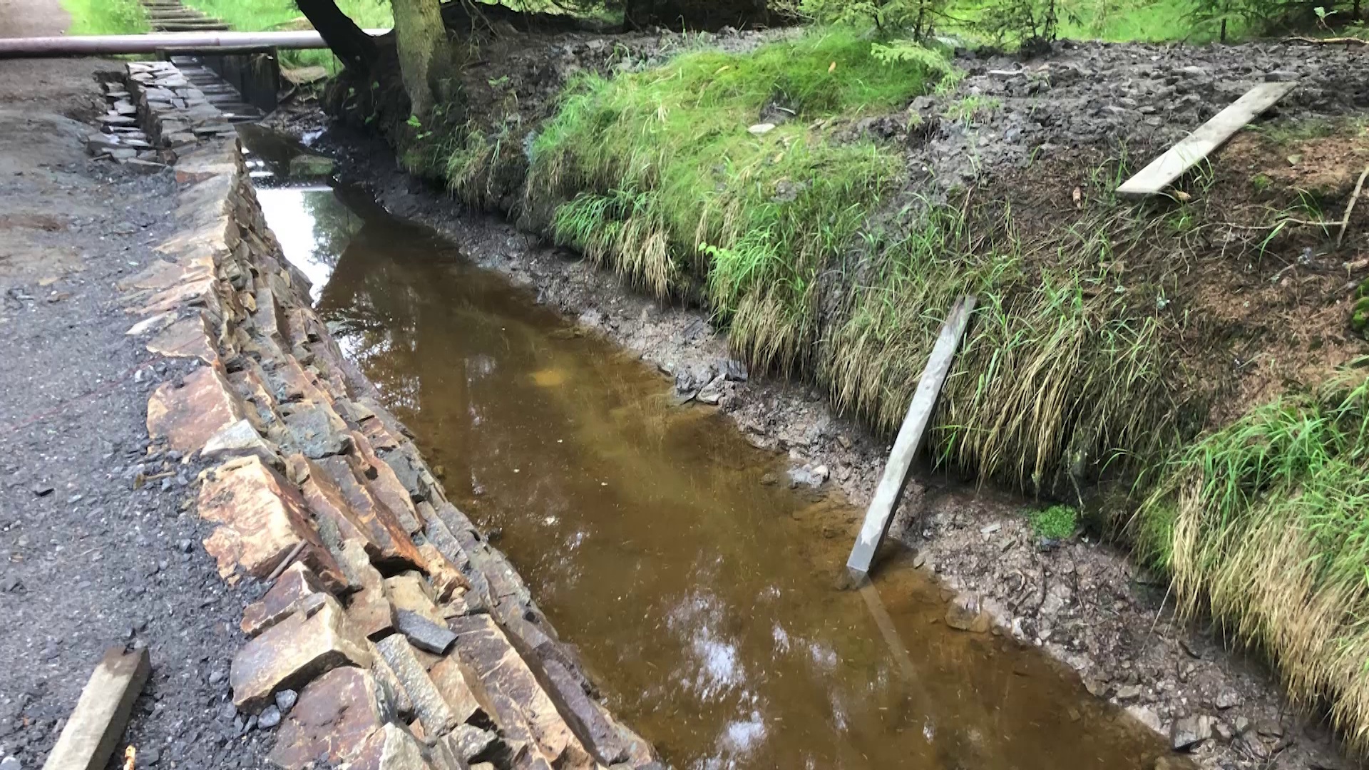 MEgional am 9. Juni 2021 mit der Sanierung des Grünen Grabens bei Kühnhaide MEgional am 9. Juni 2021 mit der Sanierung des Grünen Grabens bei Kühnhaide