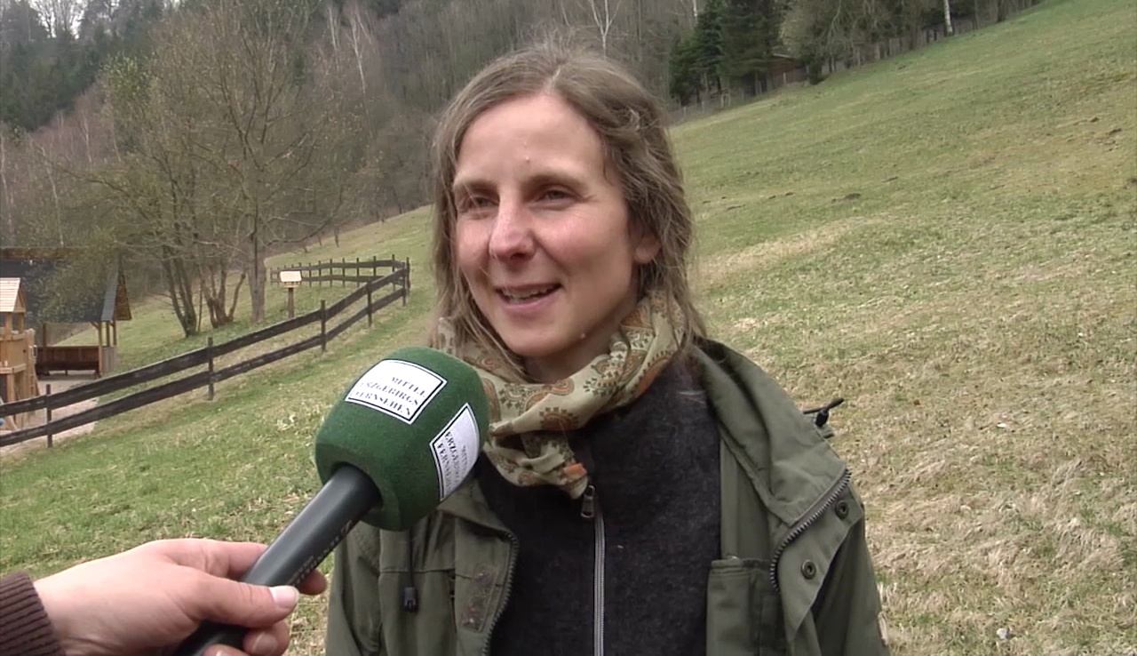 MEgional mit Informationen zur Verwechslung des Bärlauchs MEgional mit Informationen zur Verwechslung des Bärlauchs