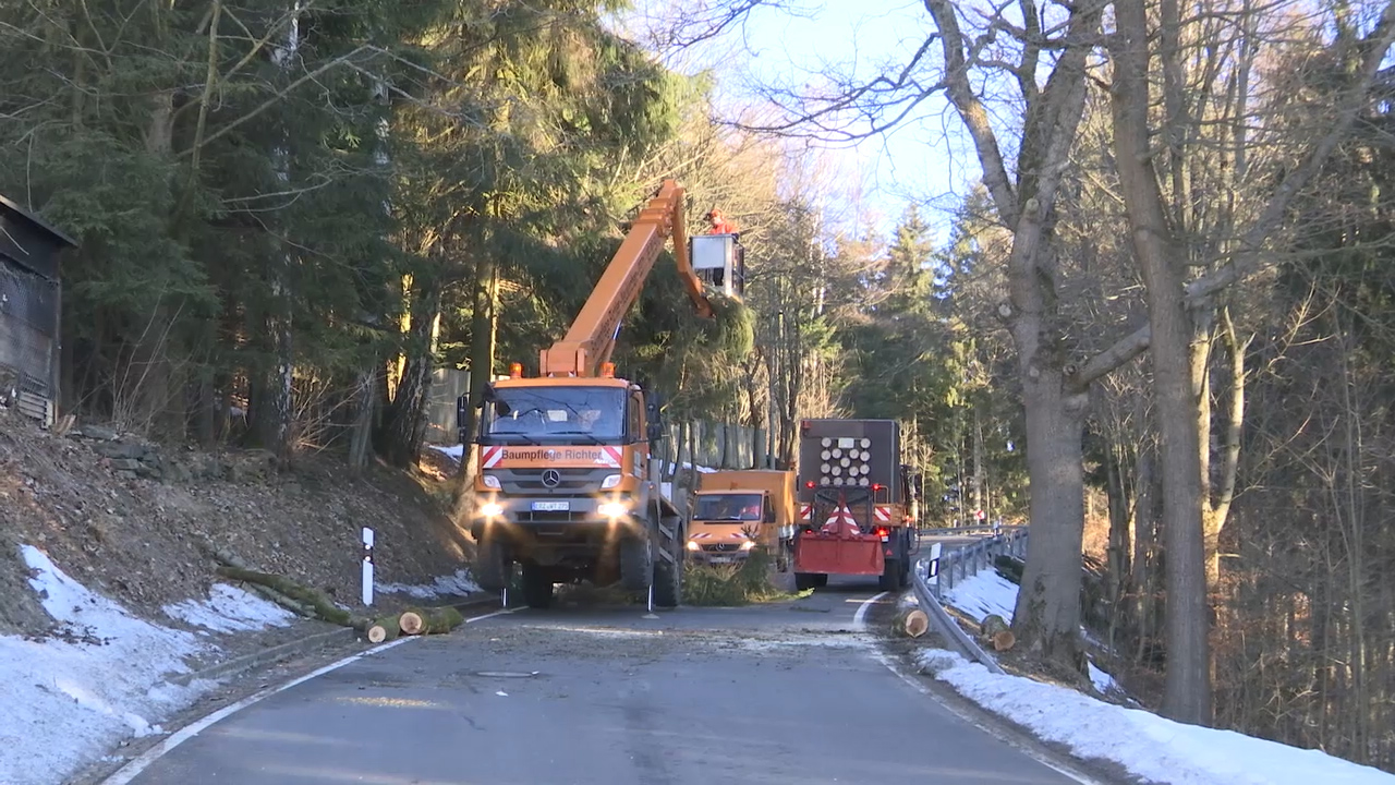 MEgional am 18. Februar 2019 mit Baumfällarbeiten in Rittersberg MEgional am 18. Februar 2019 mit Baumfällarbeiten in Rittersberg
