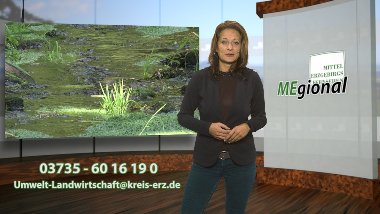 MEgional am 10. Juli 2019 mit Informationen zum Schöpfverbot im Erzgebirge MEgional am 10. Juli 2019 mit Informationen zum Schöpfverbot im Erzgebirge